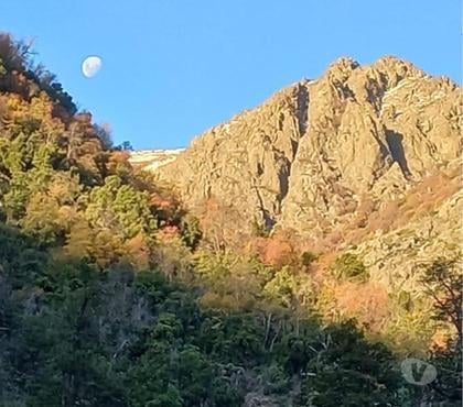 Campos en Venta Teno Curicó - Fotos de Precioso Campo de 464 Hás Precordillerano en Teno-Curicó