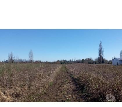 Parcelas Colbún Linares - Fotos de Parcela de 1 hectárea en San Antonio Encina