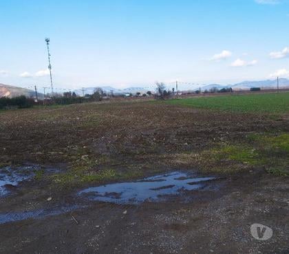 Terrenos Coltauco Cachapoal - Fotos de Hermosa y completa parcela plana 13.5 Hta en 6ª Región.