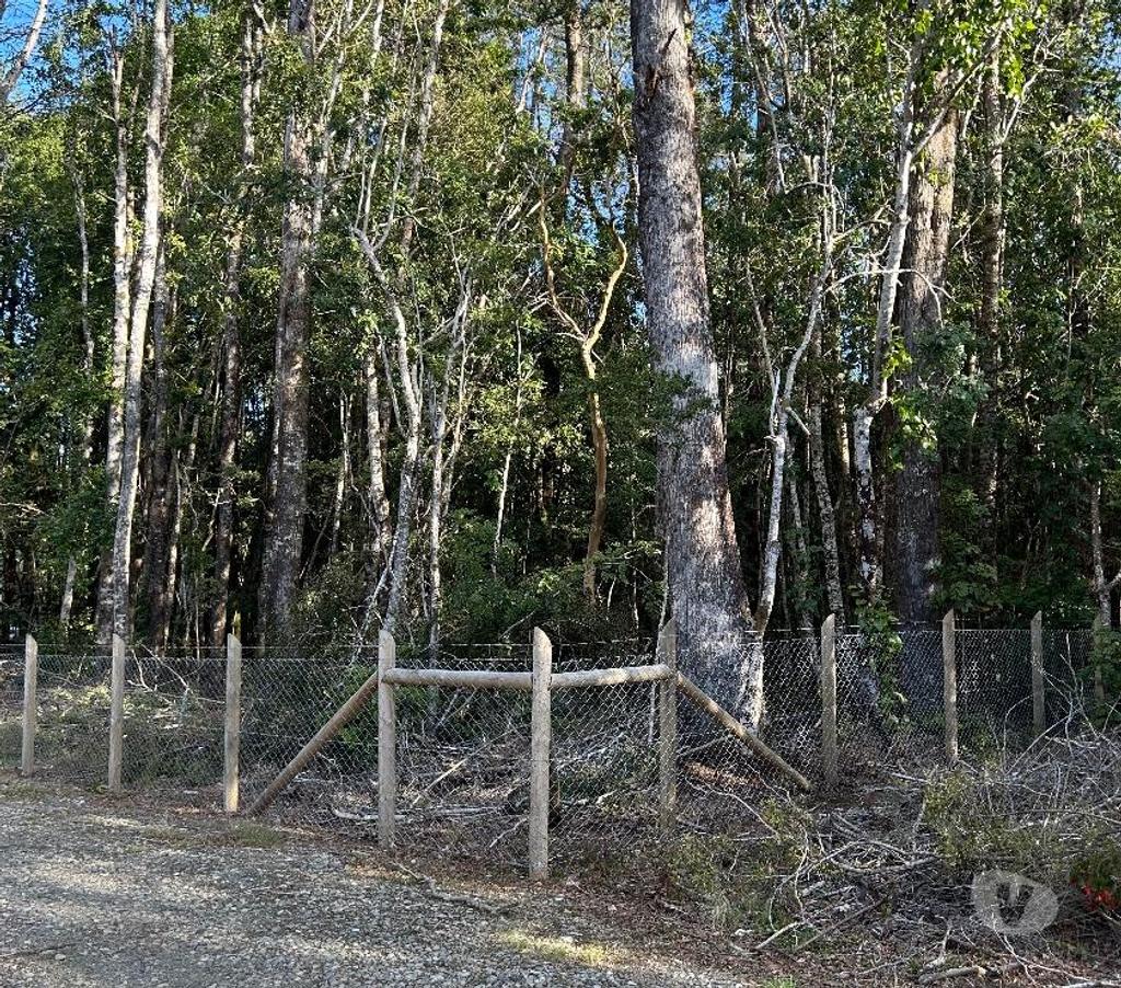 Parcelas en Venta Cautín Villarrica - Fotos de Vendo parcela en Lican Ray a 6 km del pueblo