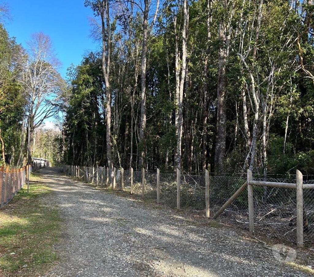 Parcelas en Venta Cautín Villarrica - Fotos de Vendo parcela en Lican Ray a 6 km del pueblo