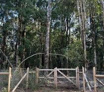 Fotos de Vendo parcela en Lican Ray a 6 km del pueblo