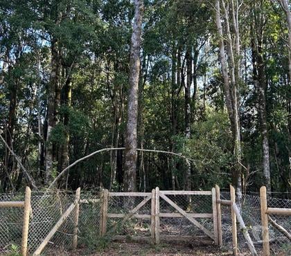 Parcelas Villarrica Cautín - Fotos de Vendo parcela en Lican Ray a 6 km del pueblo