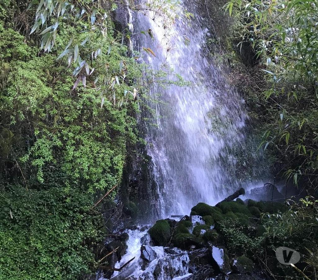 Venta de Haciendas Osorno Puyehue - Fotos de 17 hectáreas con borde de Lago Rupanco.