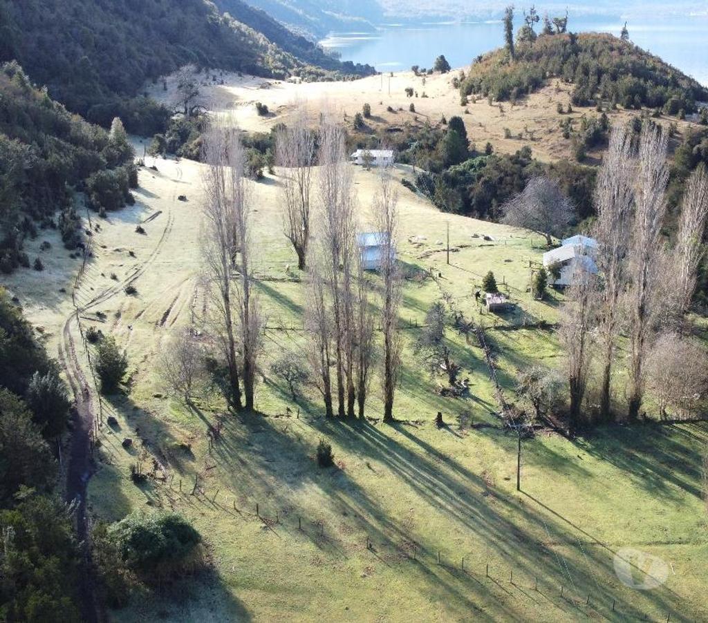 Venta de Haciendas Osorno Puyehue - Fotos de 17 hectáreas con borde de Lago Rupanco.