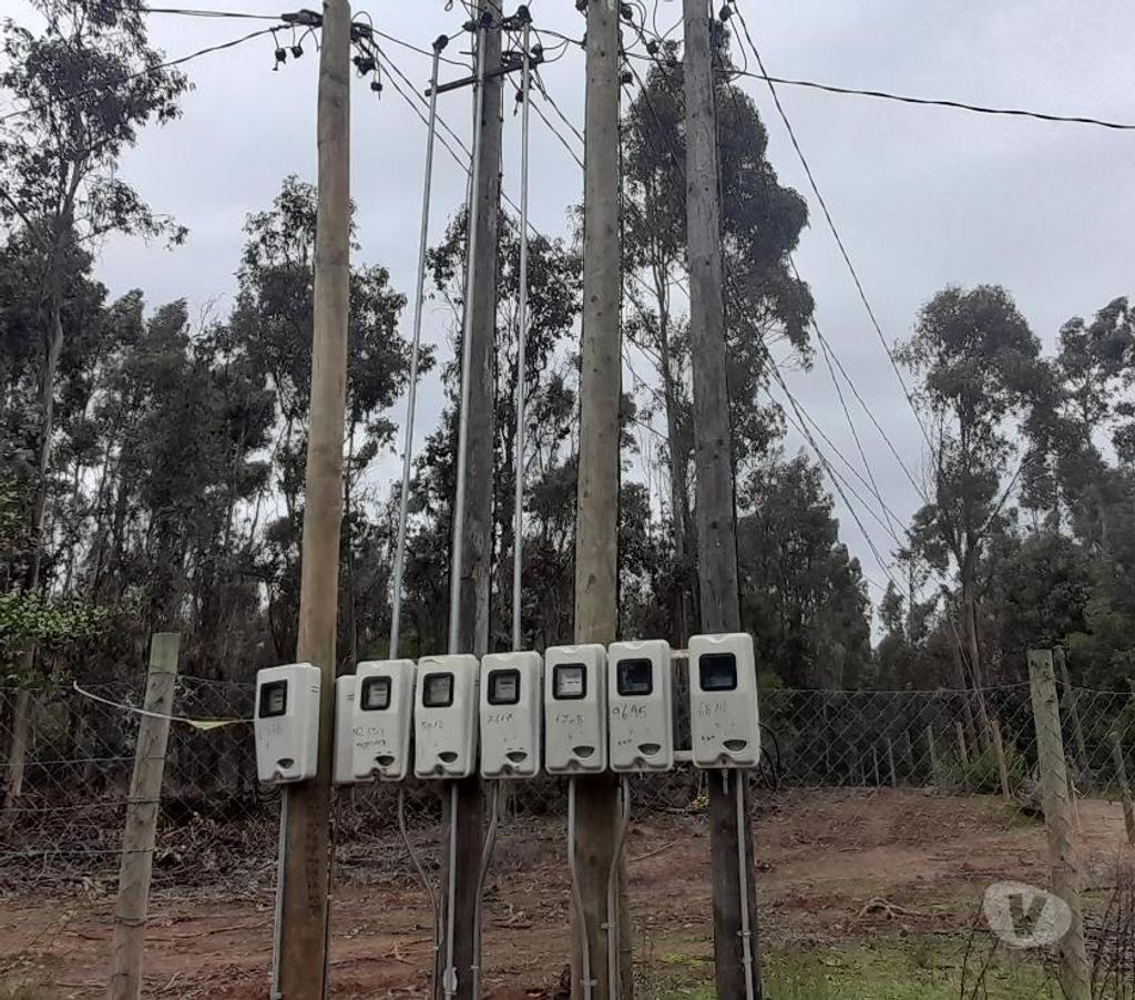 Parcelas en Venta Talca Pelarco - Fotos de PARCELA CON EUCALIPTOS EN SECTOR LIBUENO ,PELARCO