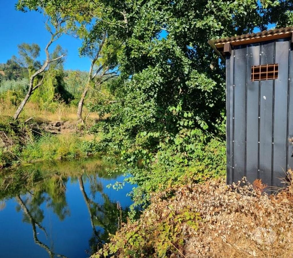 Venta de Haciendas Bío-Bío Santa Bárbara - Fotos de Muy Barato Campo 135 hás en Santa Bárbara-Región Biobío