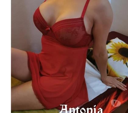 Escort Santiago Santiago - Fotos de DISFRUTA DE ESTAS FIESTAS CON UN RICO MASAJE ANTES