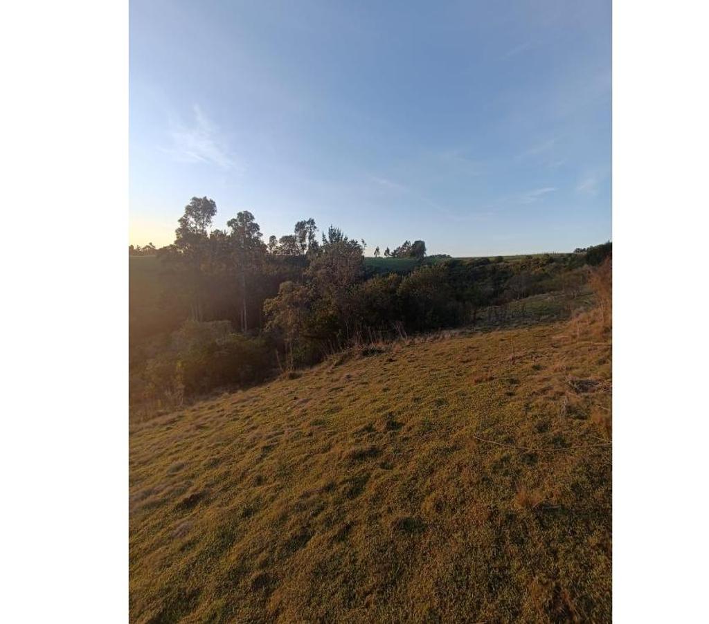 Bienes Raices Ñuble Cobquecura - Fotos de Miramar, Pullay