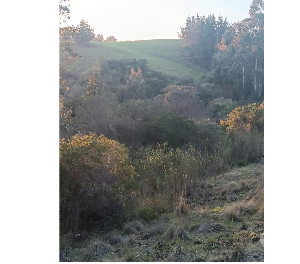 Bienes Raices Ñuble Cobquecura - Fotos de Miramar, Pullay