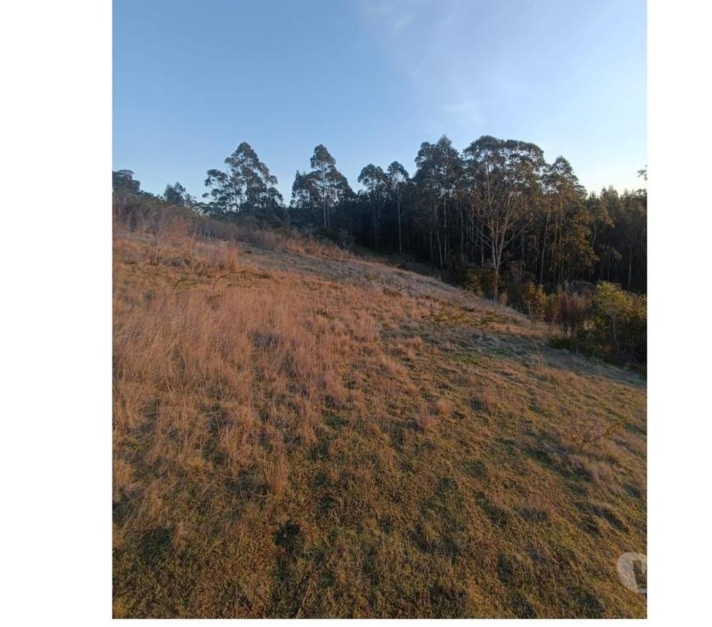 Bienes Raices Ñuble Cobquecura - Fotos de Miramar, Pullay