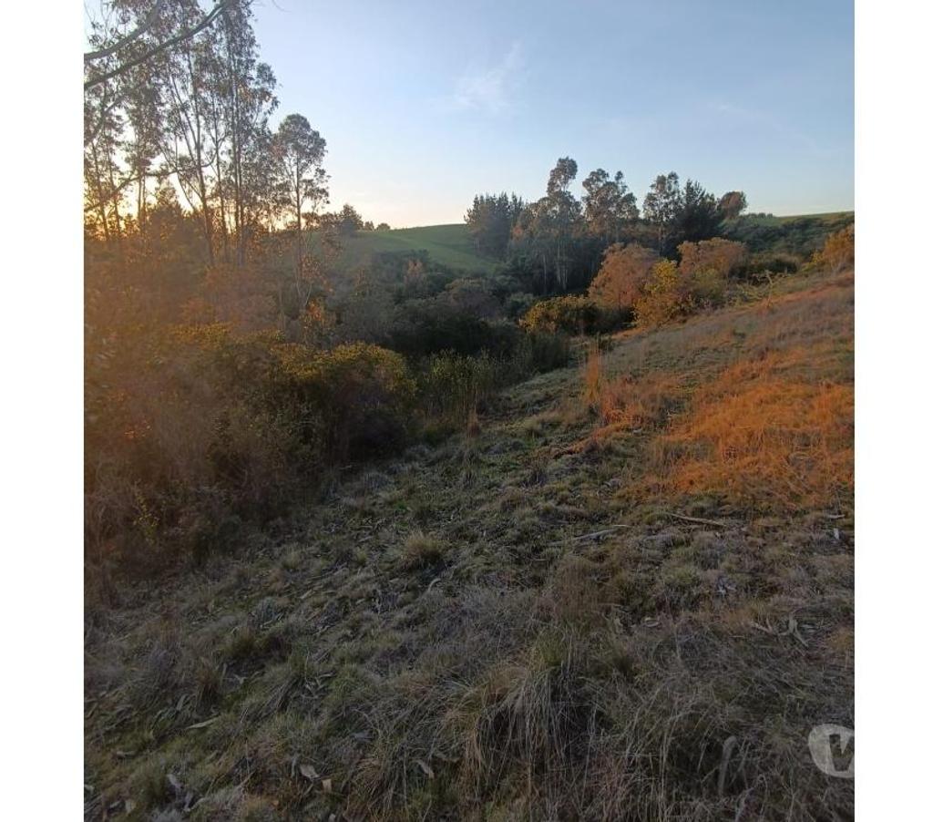 Bienes Raices Ñuble Cobquecura - Fotos de Miramar, Pullay