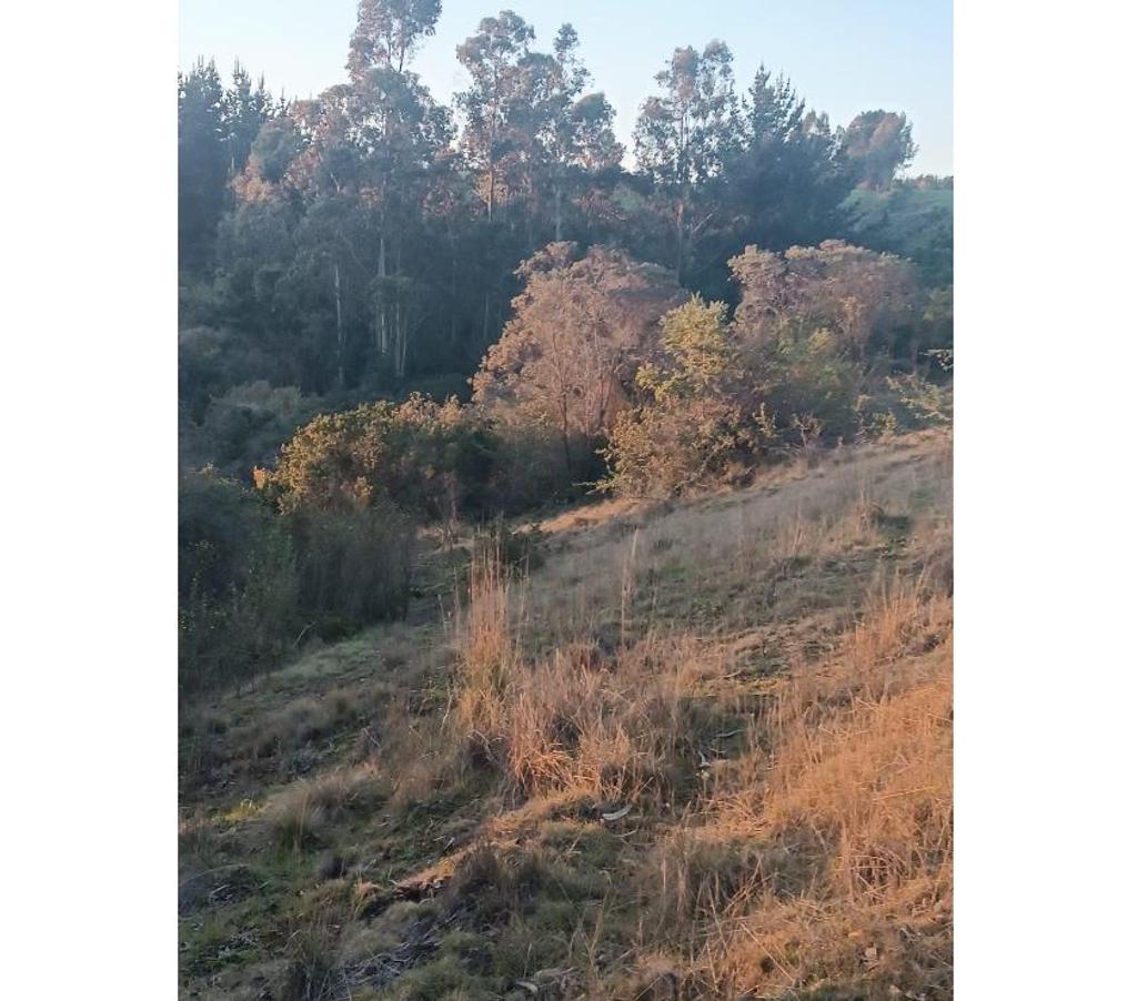 Bienes Raices Ñuble Cobquecura - Fotos de Miramar, Pullay