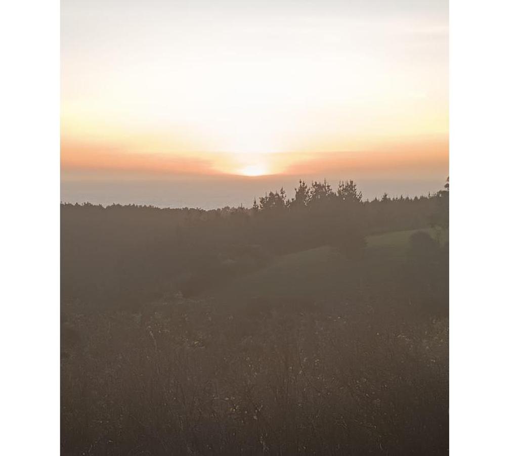 Bienes Raices Ñuble Cobquecura - Fotos de Miramar, Pullay