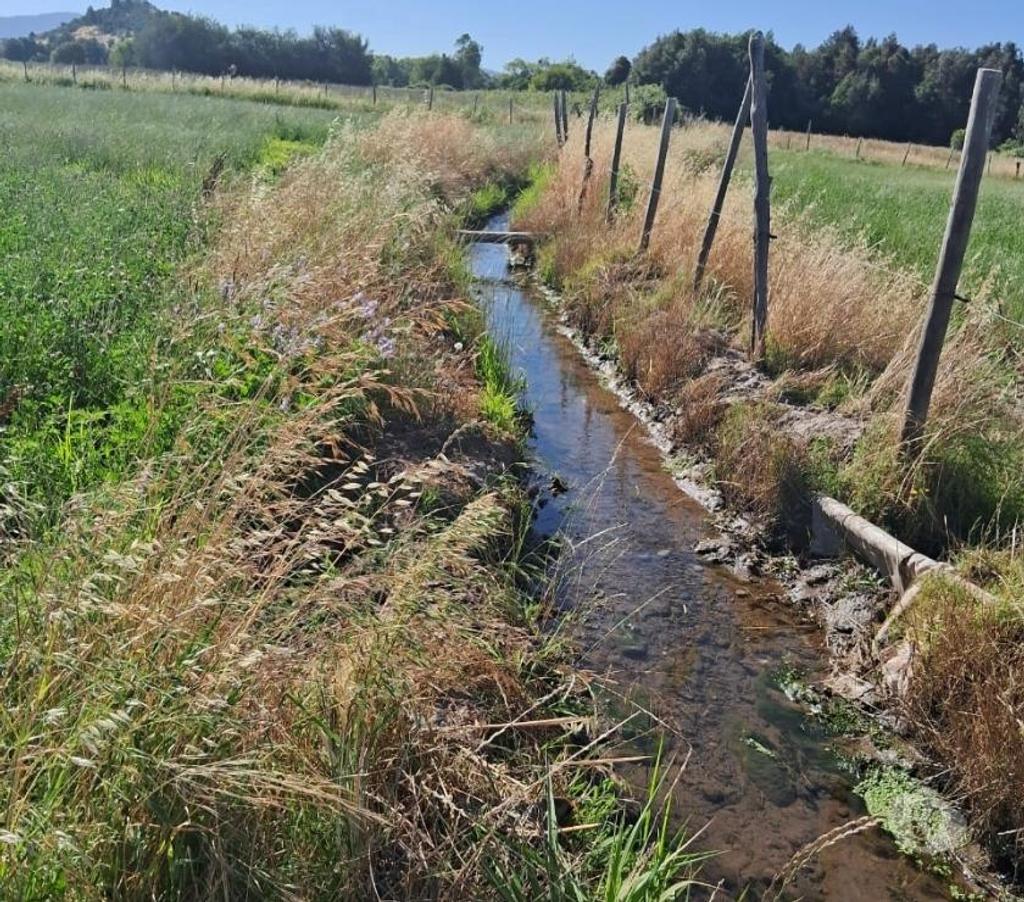 Parcelas en Venta Linares Villa Alegre - Fotos de Parc. Agrícola. Plana d Riego La Finca. 2.5 km. Ruta 5 Sur