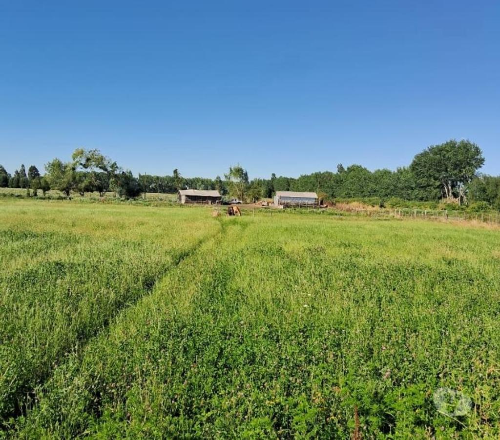 Parcelas en Venta Linares Villa Alegre - Fotos de Parc. Agrícola. Plana d Riego La Finca. 2.5 km. Ruta 5 Sur