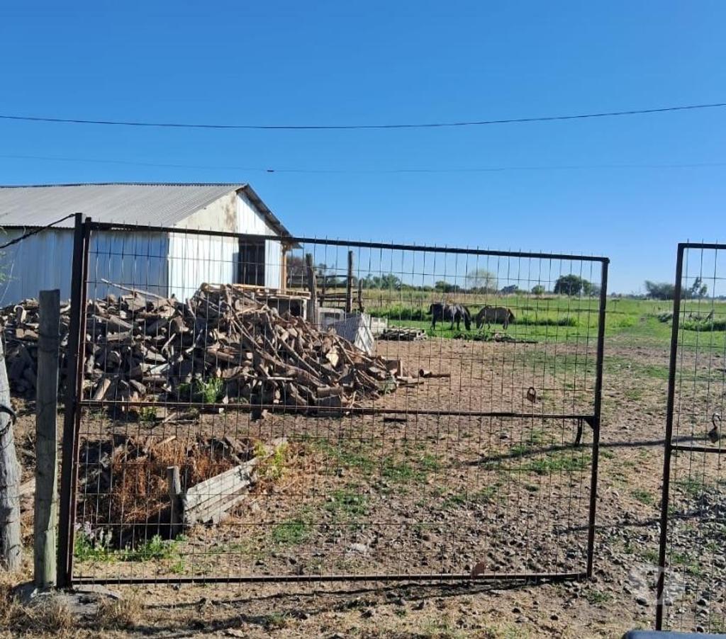 Parcelas en Venta Linares Villa Alegre - Fotos de Parc. Agrícola. Plana d Riego La Finca. 2.5 km. Ruta 5 Sur