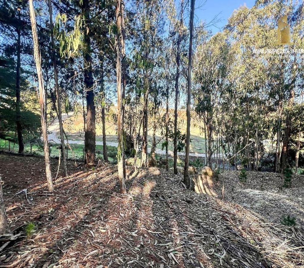 Parcelas en Venta Cardenal Caro Pichilemu - Fotos de VENTA TERRENO URBANO GRAN VISTA 9480 M2 PUNTA DE LOBOS