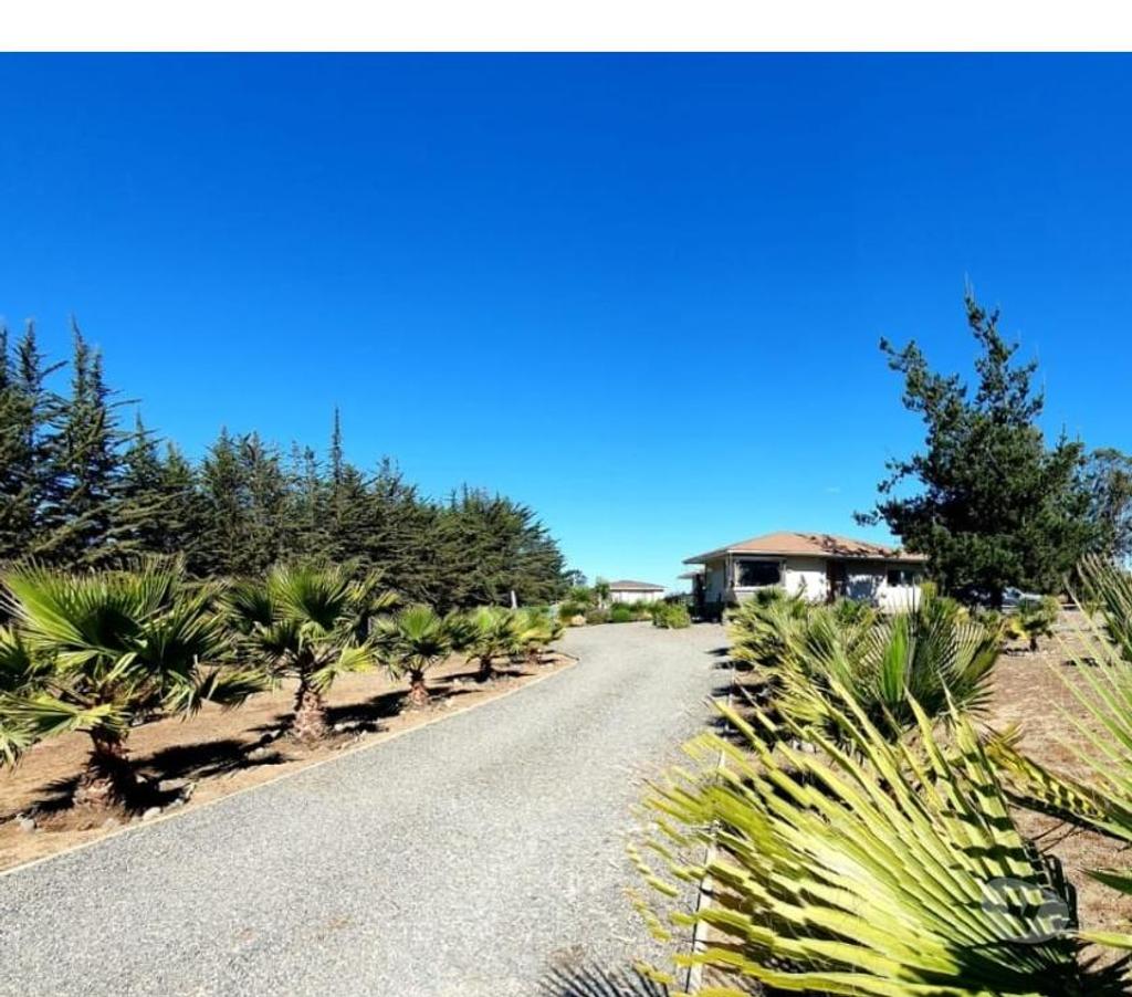Parcelas en Venta Valparaíso Casablanca - Fotos de VENDO HERMOSA PARCELA EN ALGARROBO