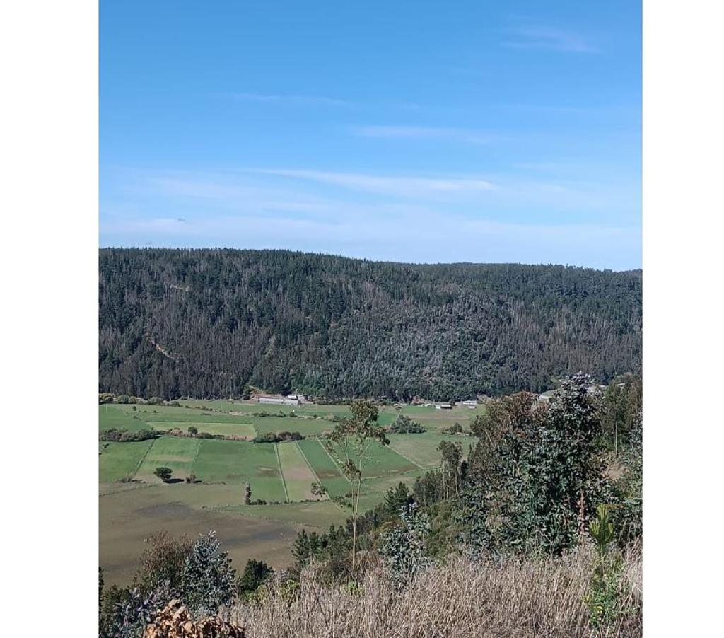 Parcelas en Venta Ñuble Cobquecura - Fotos de Rinconada de Taucu