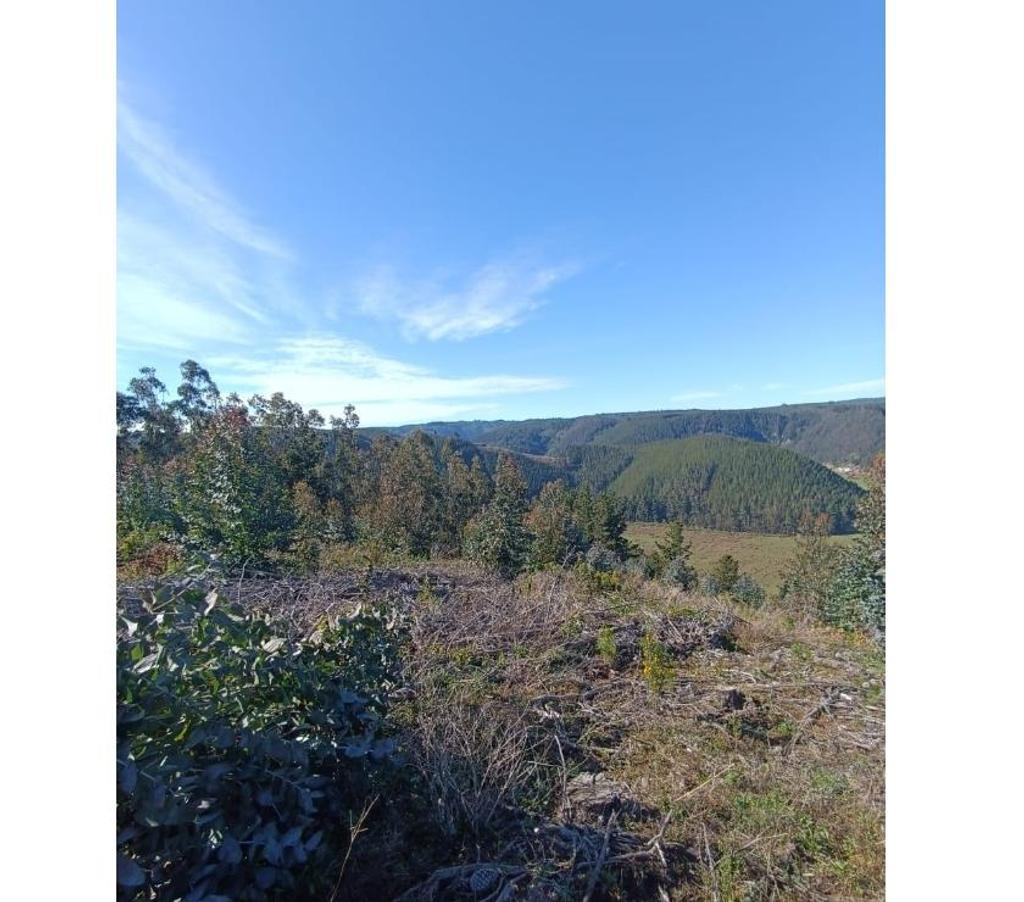Parcelas en Venta Ñuble Cobquecura - Fotos de Rinconada de Taucu