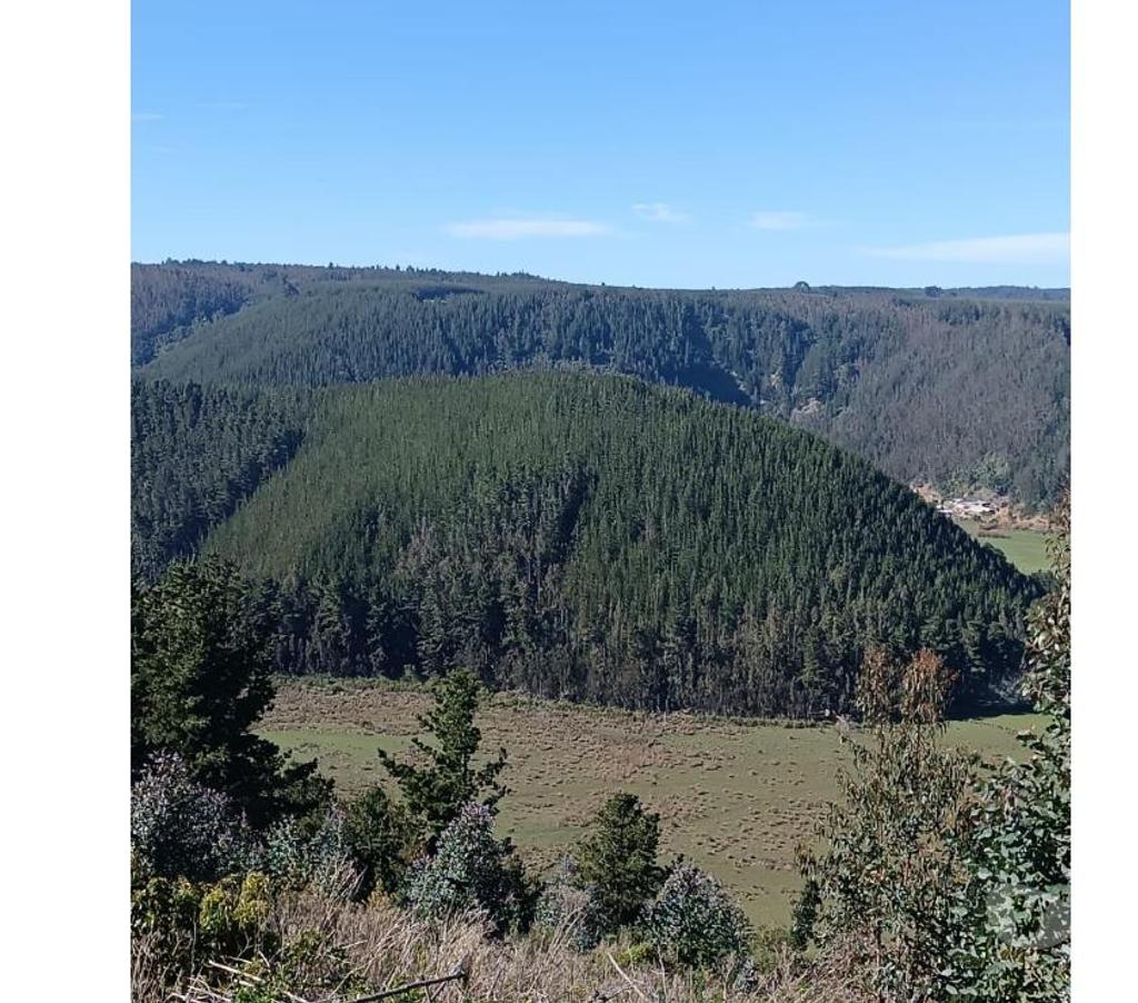Parcelas en Venta Ñuble Cobquecura - Fotos de Rinconada de Taucu