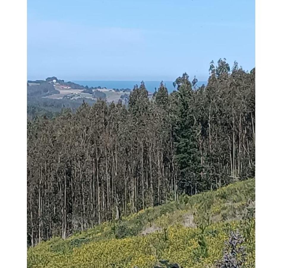 Parcelas en Venta Ñuble Cobquecura - Fotos de Rinconada de Taucu