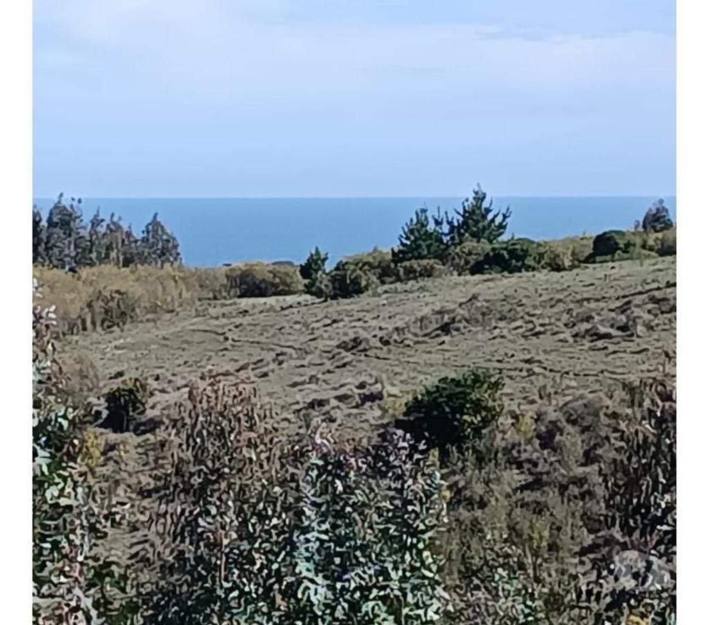 Parcelas en Venta Ñuble Cobquecura - Fotos de Rinconada de Taucu