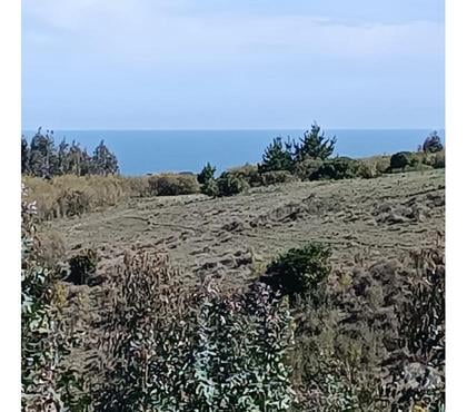 Terrenos en Venta Cobquecura Ñuble - Fotos de Rinconada de Taucu