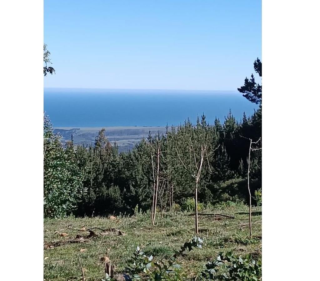 Parcelas en Venta Ñuble Cobquecura - Fotos de Quile, Pullay, Cobquecura.