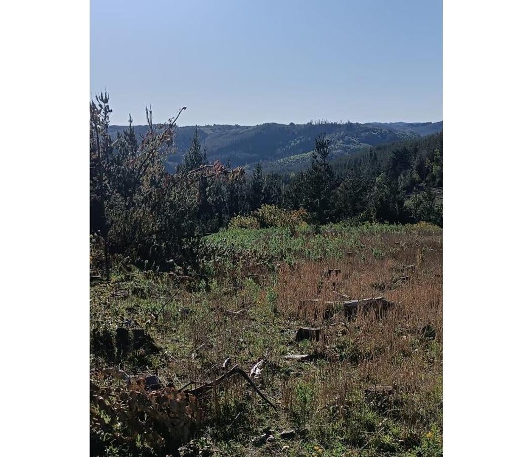 Parcelas en Venta Ñuble Cobquecura - Fotos de Quile, Pullay, Cobquecura.