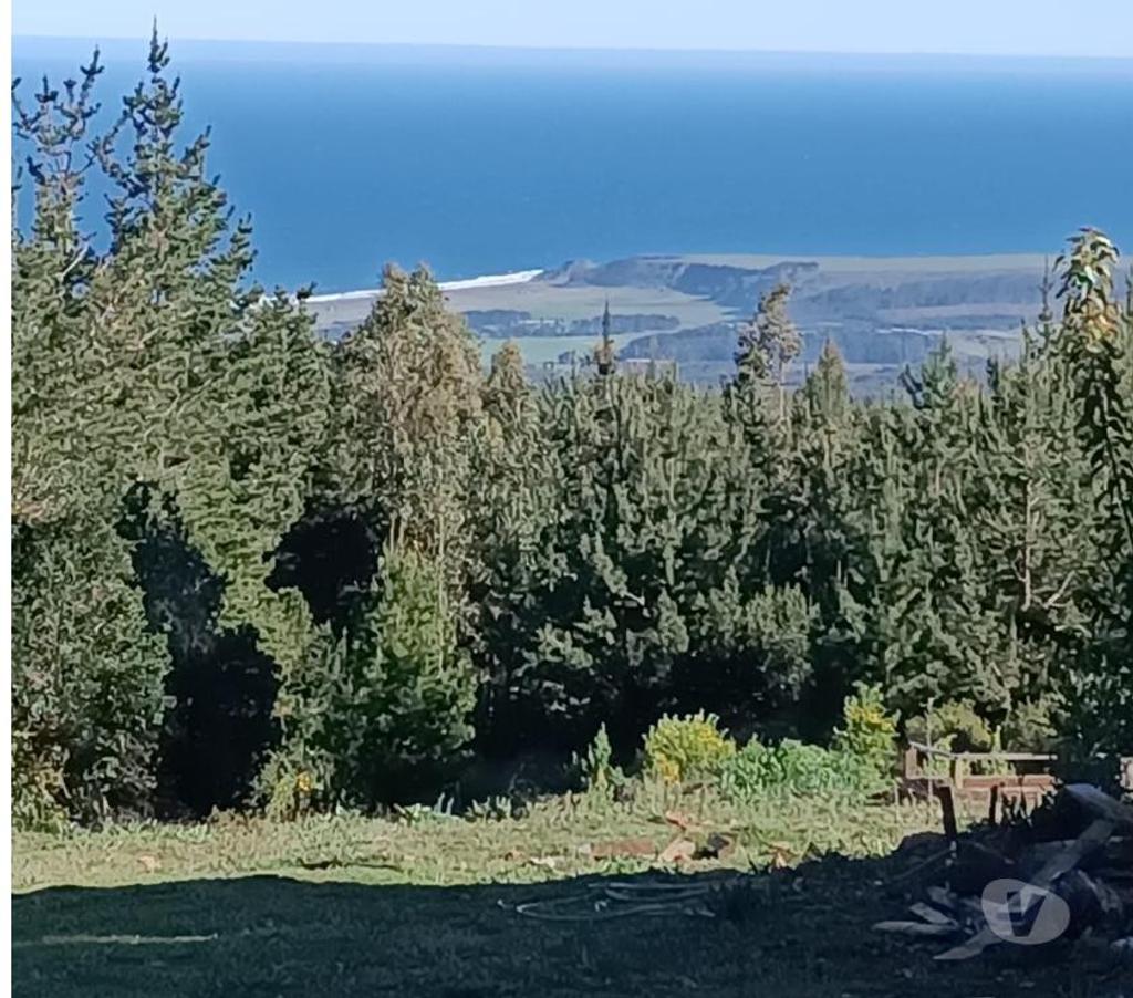 Parcelas en Venta Ñuble Cobquecura - Fotos de Quile, Pullay, Cobquecura.