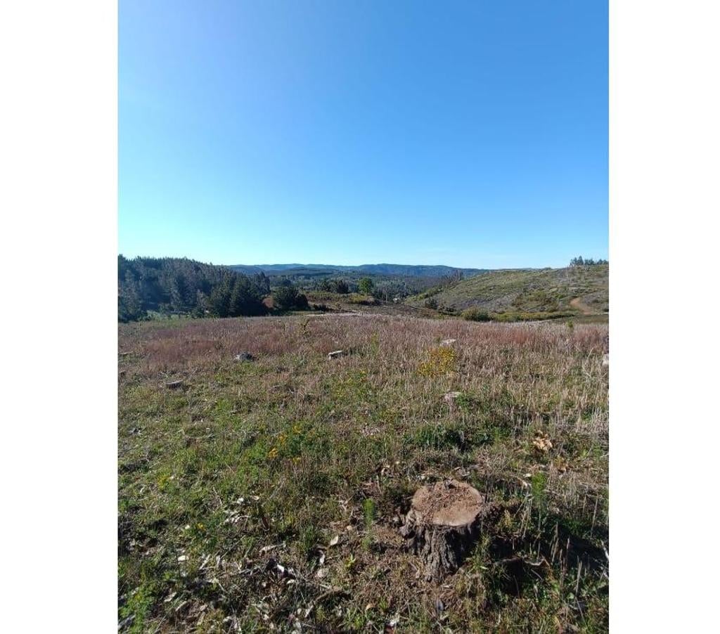 Parcelas en Venta Ñuble Cobquecura - Fotos de Quile, Pullay, Cobquecura.