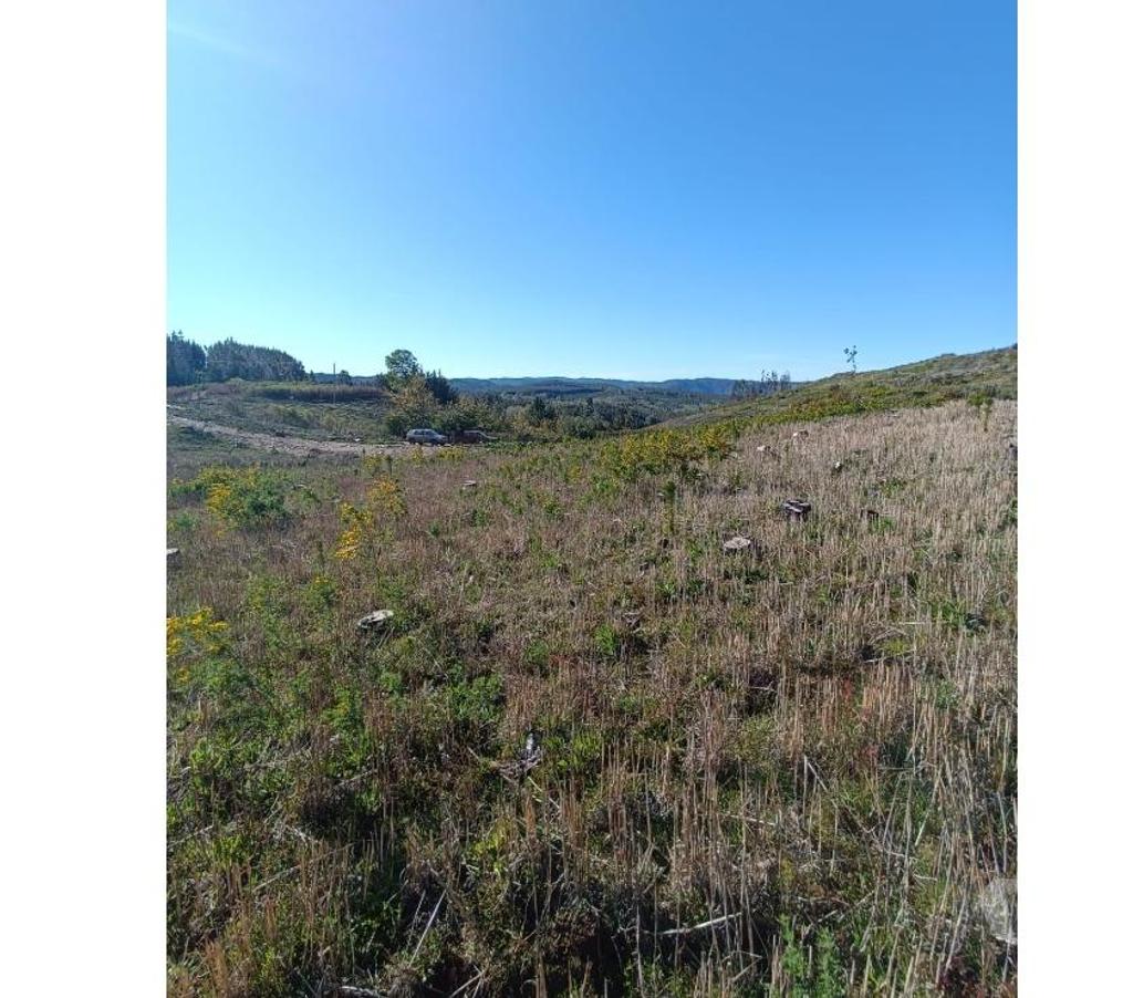 Parcelas en Venta Ñuble Cobquecura - Fotos de Quile, Pullay, Cobquecura.