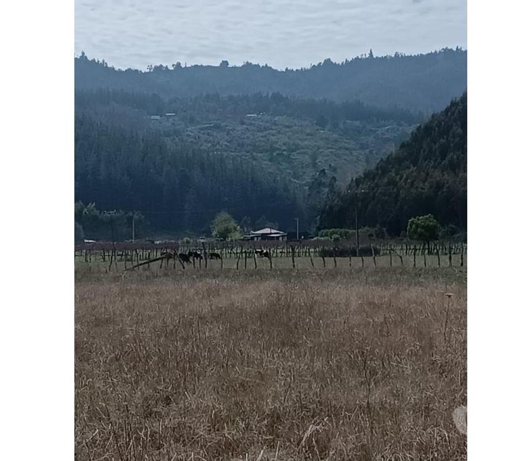 Parcelas en Venta Ñuble Cobquecura - Fotos de Talcamavida, Buchupureo.