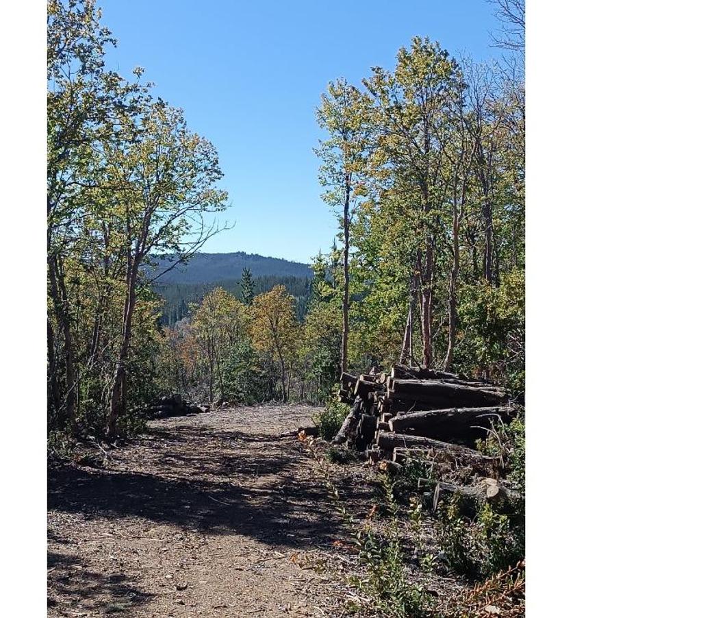 Parcelas en Venta Cauquenes Pelluhue - Fotos de Monte Redondo, Pelluhue