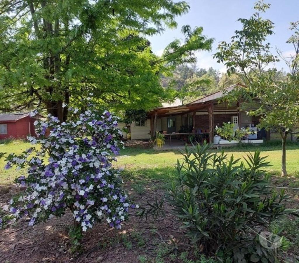 Bienes Raices Cachapoal Requíno - Fotos de Requínoa, sector Pimpinela, ciudad de Rancagua.
