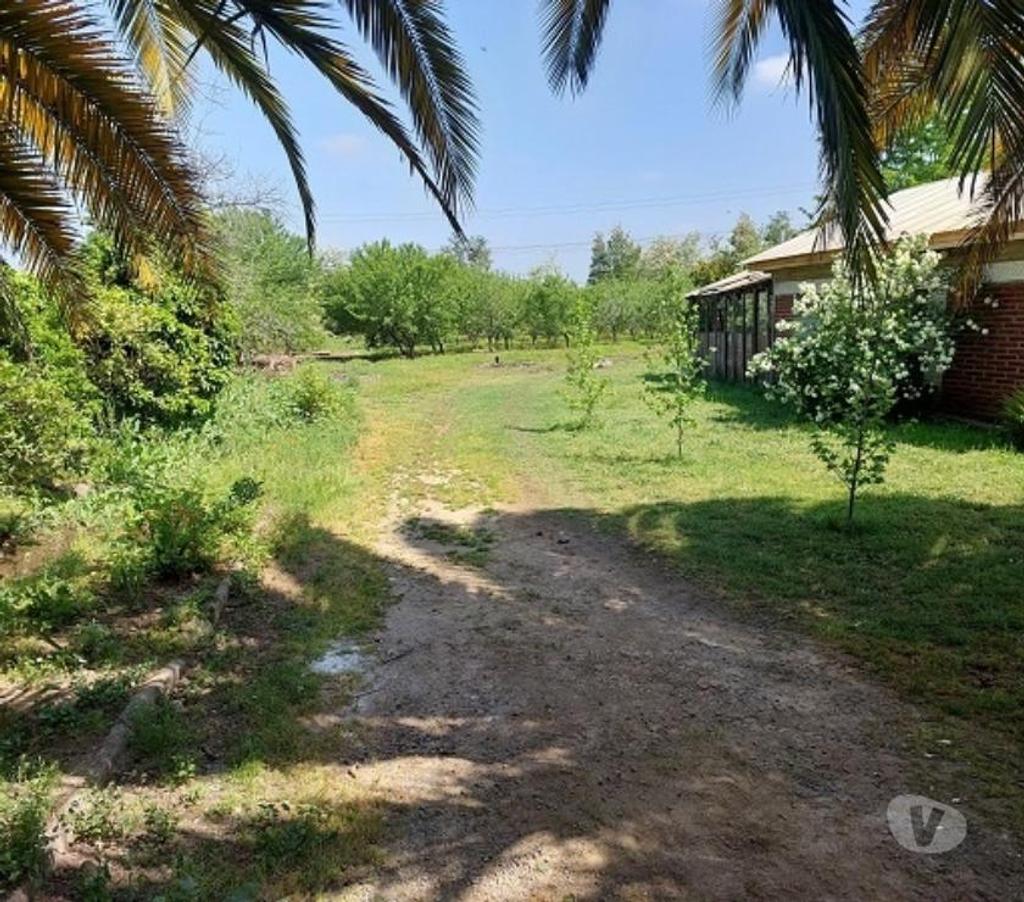 Bienes Raices Cachapoal Requíno - Fotos de Requínoa, sector Pimpinela, ciudad de Rancagua.