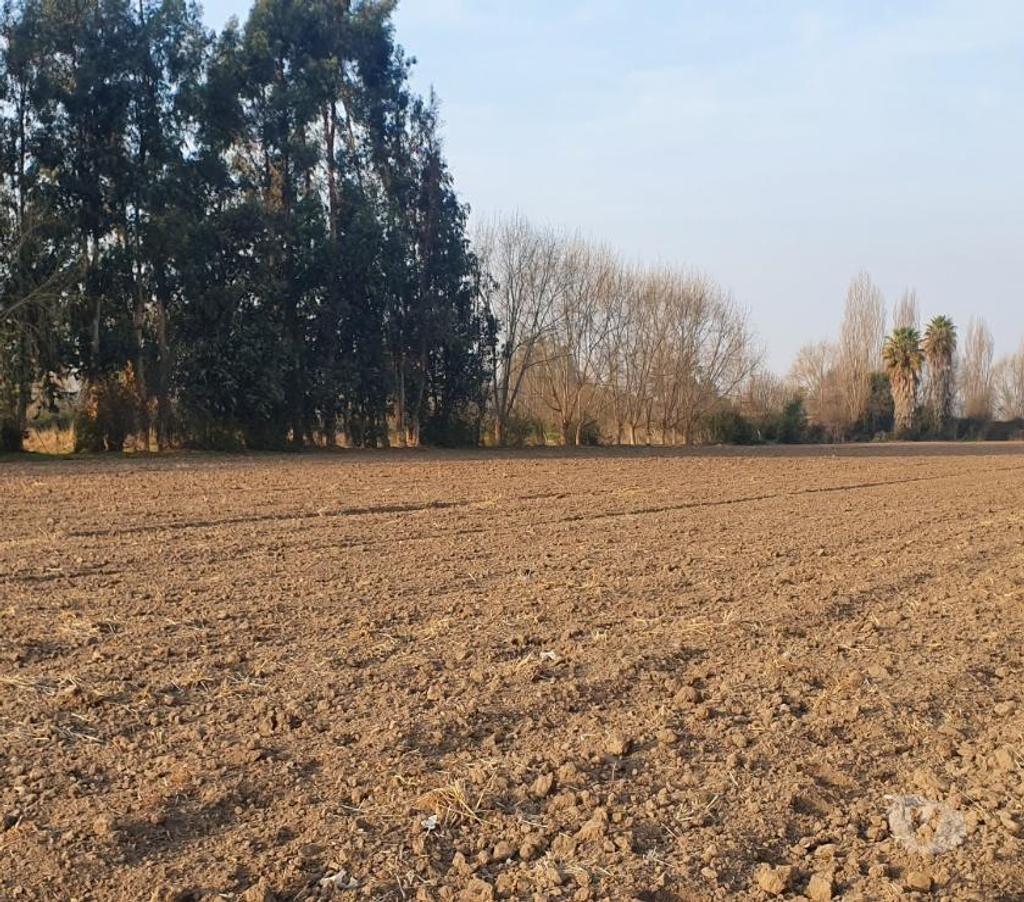 Bienes Raices Maipo Paine - Fotos de Colonia Kennedy, Excelentes lotes.