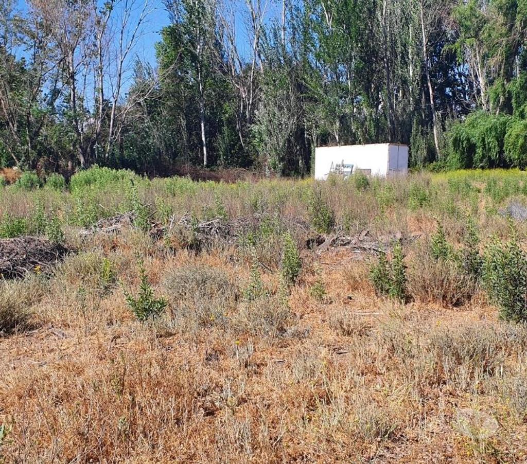 Bienes Raices Maipo Paine - Fotos de Excelente terreno rural en Hospital-Paine.