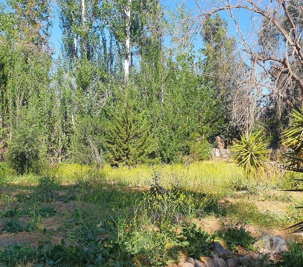Bienes Raices Maipo Paine - Fotos de Excelente terreno rural en Hospital-Paine.