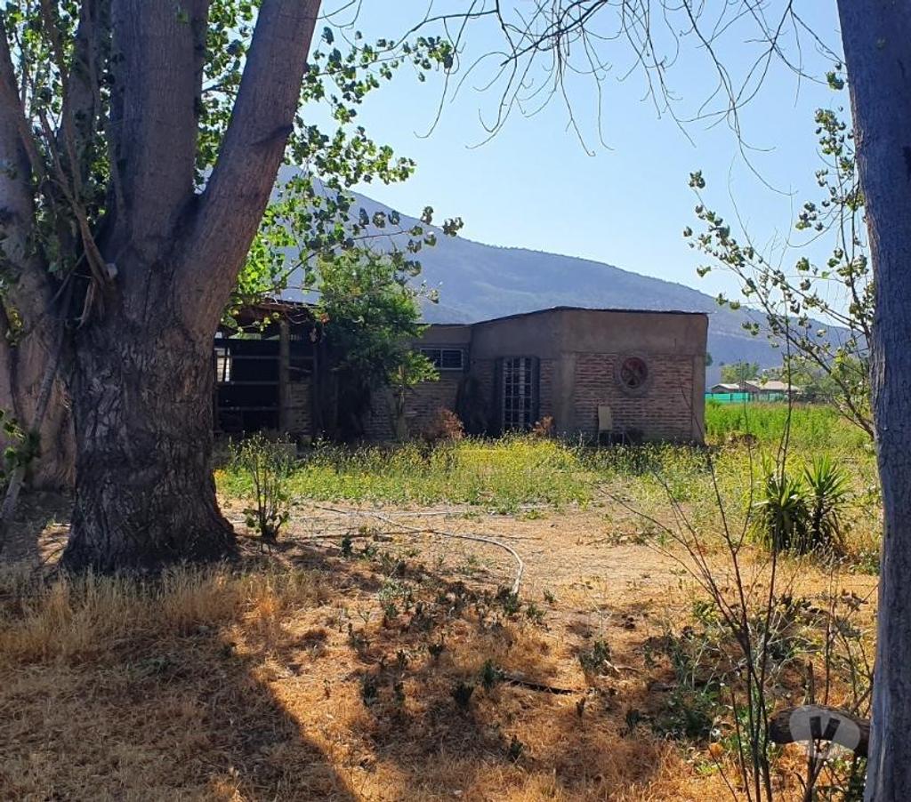 Bienes Raices Maipo Paine - Fotos de Excelente terreno rural en Hospital-Paine.