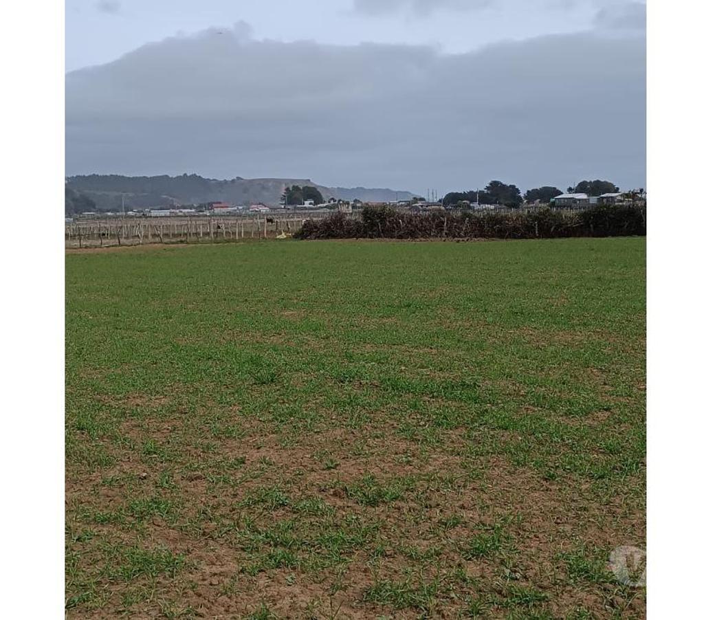 Parcelas en Venta Ñuble Cobquecura - Fotos de Pullay, orilla del Mar, Cobquecura
