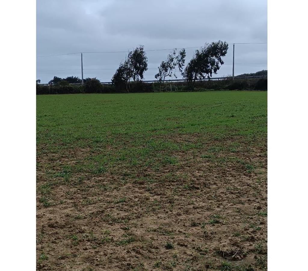 Parcelas en Venta Ñuble Cobquecura - Fotos de Pullay, orilla del Mar, Cobquecura