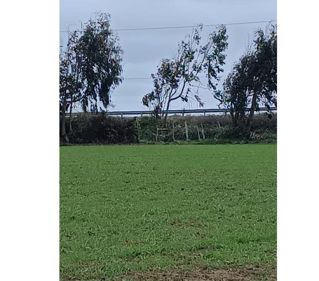 Parcelas en Venta Ñuble Cobquecura - Fotos de Pullay, orilla del Mar, Cobquecura