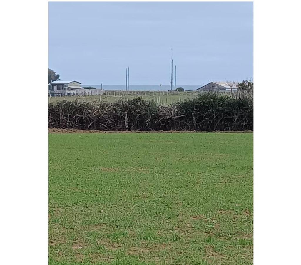 Parcelas en Venta Ñuble Cobquecura - Fotos de Pullay, orilla del Mar, Cobquecura