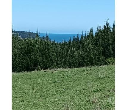 Terrenos en Venta Cobquecura Ñuble - Fotos de Loma Negra, Buchupureo