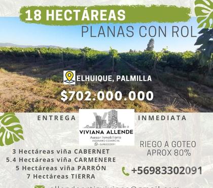 Terrenos en Venta Palmilla Colchagua - Fotos de Vendo 18 hectáreas aptas para subdividir sector El Huique