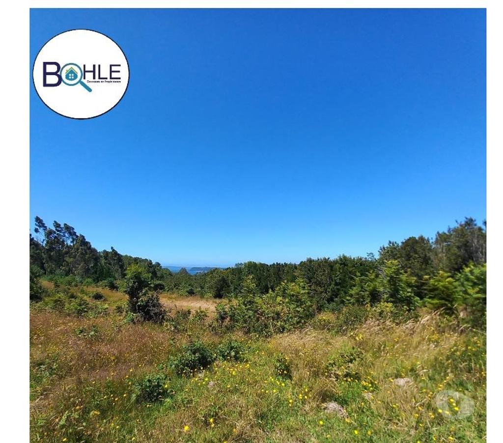 Parcelas en Venta Llanquihue Puerto Montt - Fotos de VENDO - Terreno de 2.35 Ha en ILQUE