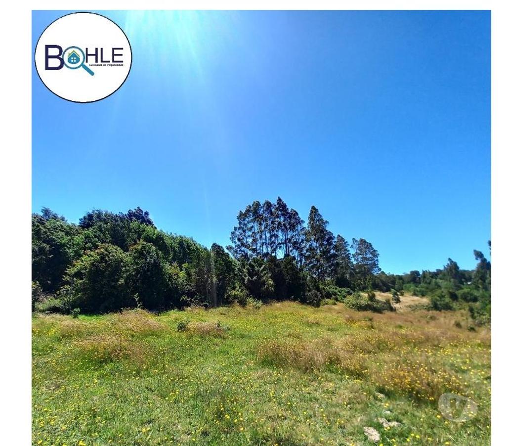 Parcelas en Venta Llanquihue Puerto Montt - Fotos de VENDO - Terreno de 2.35 Ha en ILQUE